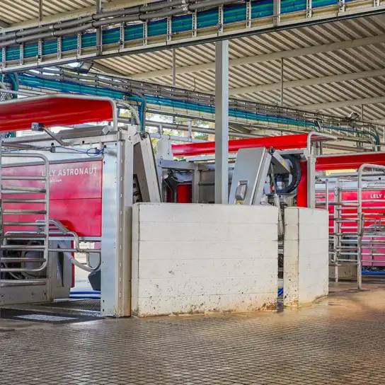 Lely Astronaut A4 milking robots in a typical New Zealand pasture based setup