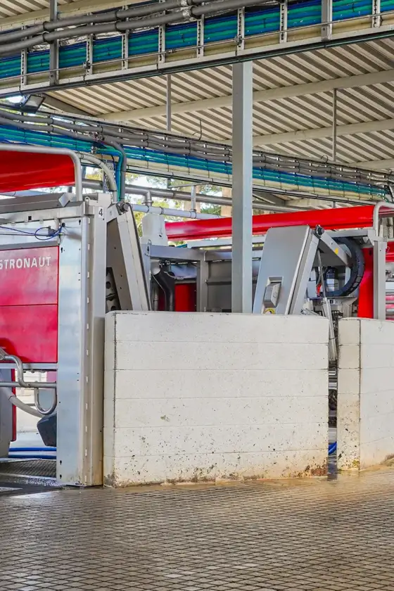 Lely Astronaut A4 milking robots in a typical New Zealand pasture based setup