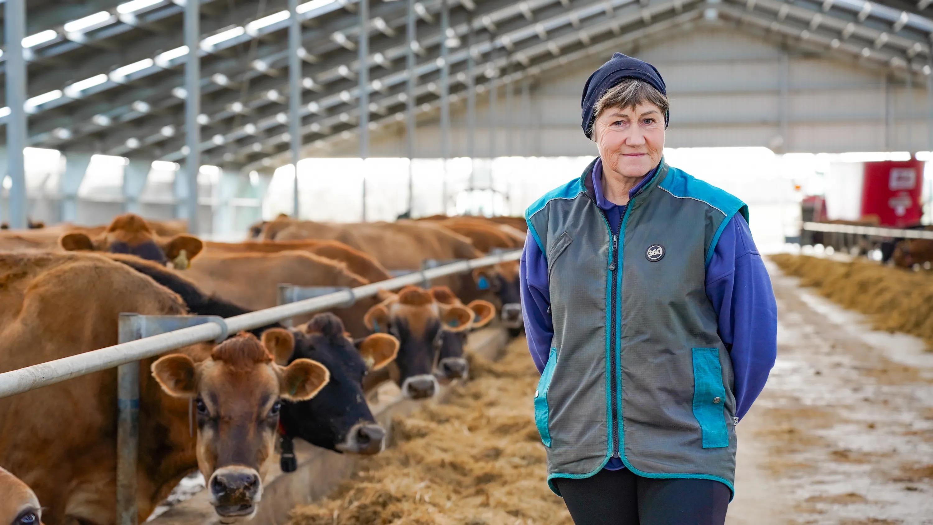 Joanne Crack in her barn with Jersey cows