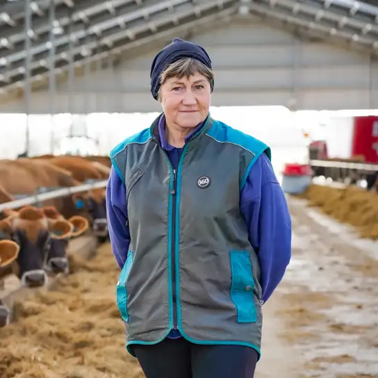 Joanne Crack in her barn with Jersey cows