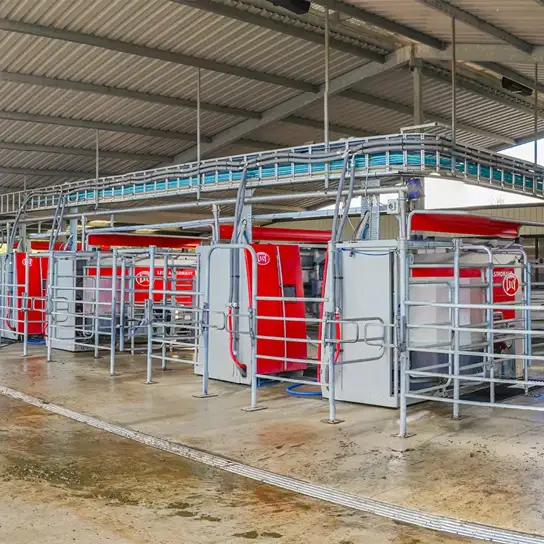 Lely Astronaut A4 milking robots in a typical New Zealand pasture based setup