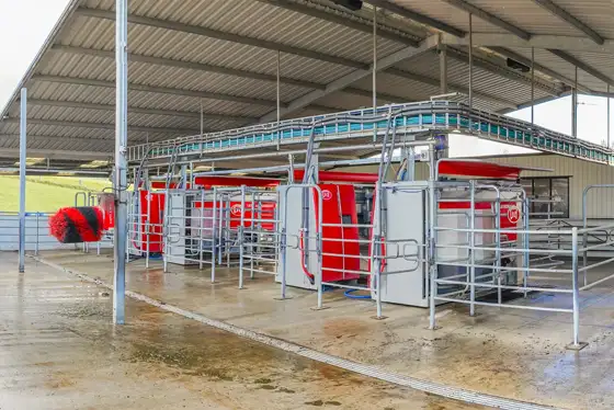 Lely Astronaut A4 milking robots in a typical New Zealand pasture based setup