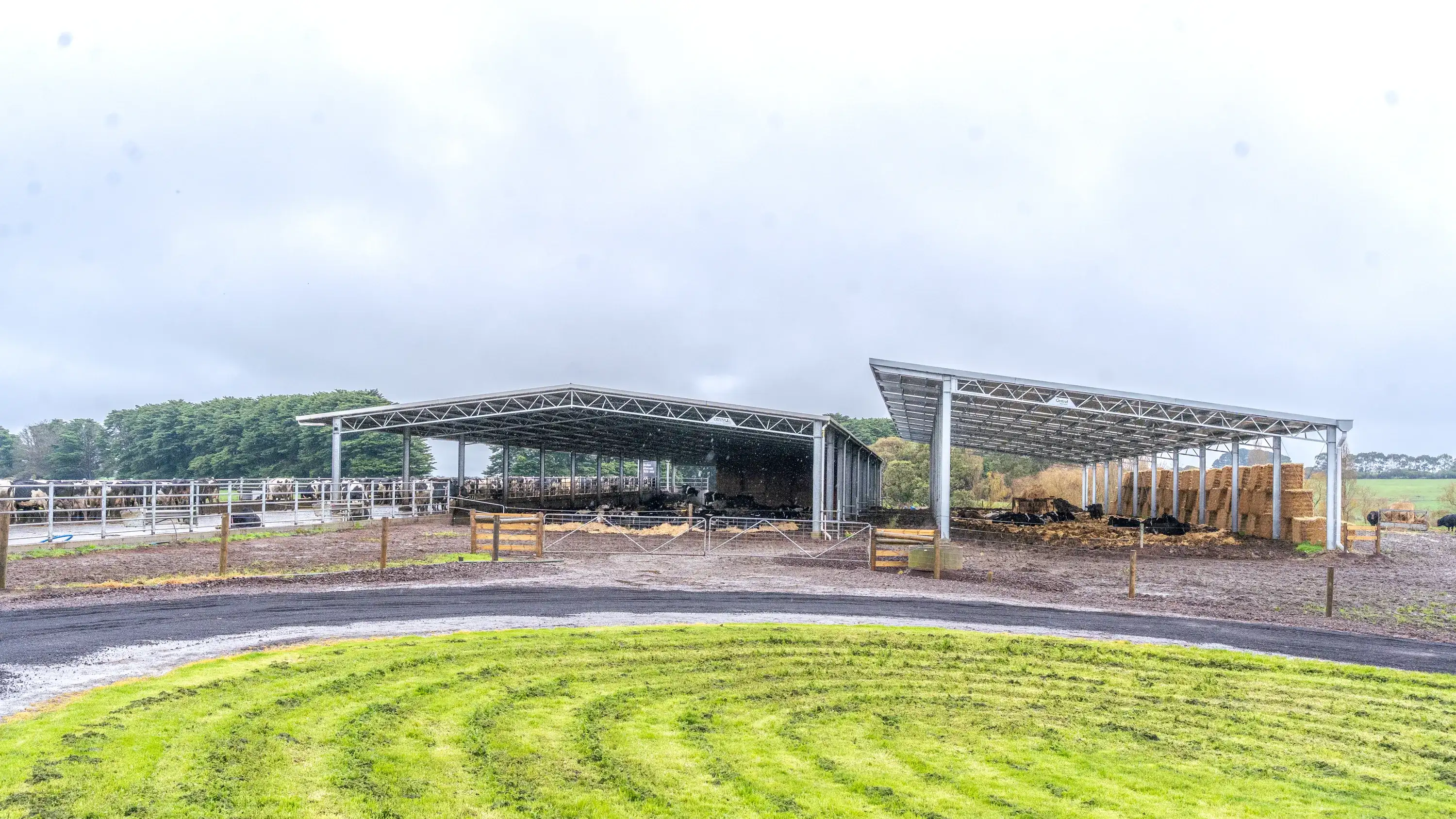 Outside view of the loafing shed at the Vines family